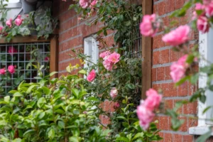 Sfeervolle foto van bloeiende roze bloemen in volle bloei.