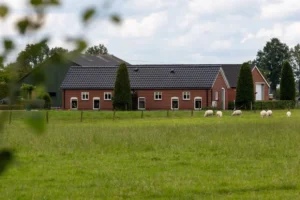 De accommodatie met op de voorgrond grazende schapen in een groene weide.