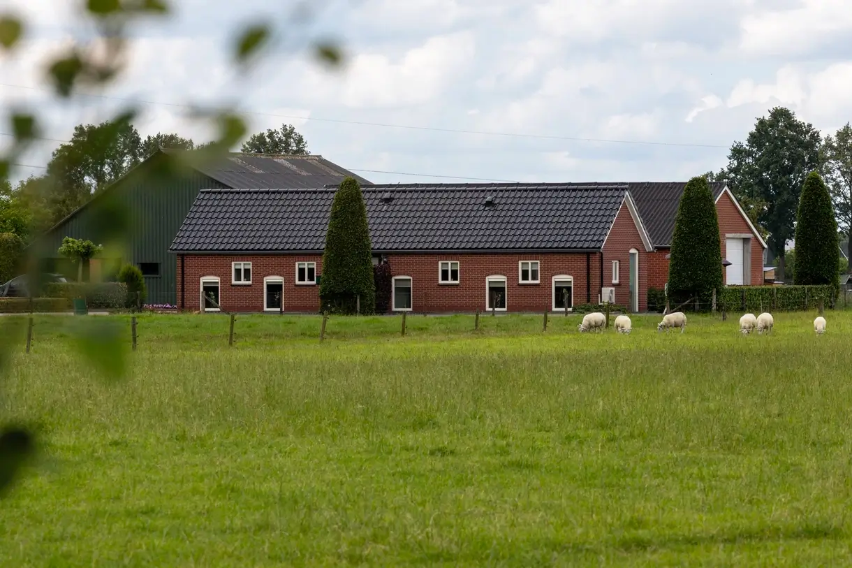 De accommodatie met op de voorgrond grazende schapen in een groene weide.